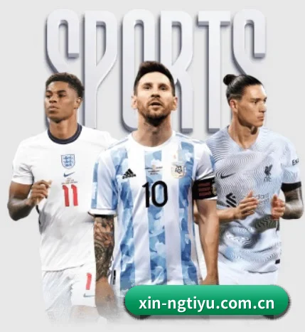 NG体育 APP